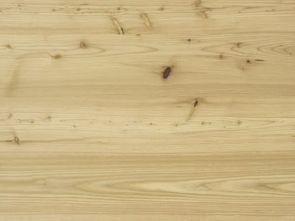 Fachwerk laerche natur quer