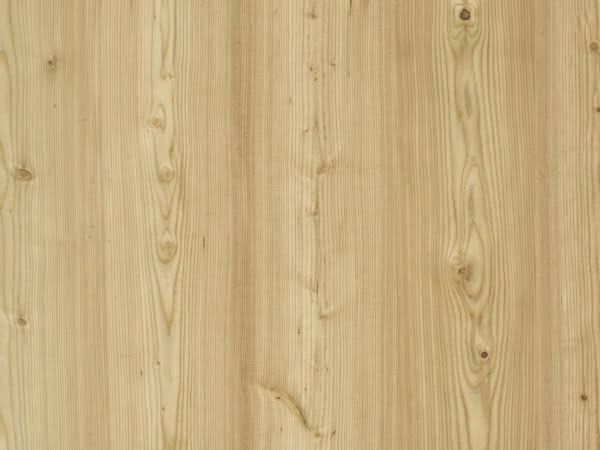 Fachwerk laerche natur