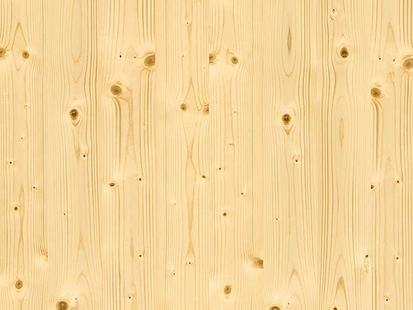 Oberflaeche fichte mit aesten